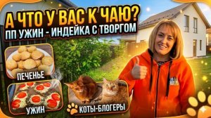 А что у вас к чаю? ПП ужин - индейка с творогом