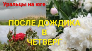Уральцы на юге.После дождика в четверг.
