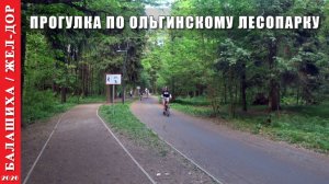 2026 г. Балашиха. Майская прогулка по Ольгинскому лесопарку.