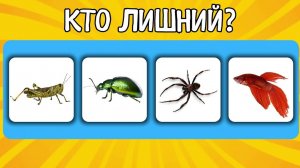 Дидактическая игра для развития ребенка Четвертый лишний/Развивающие мультики для малышей