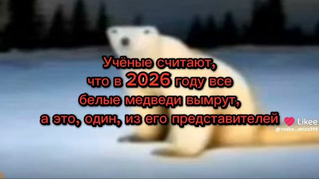 Перезаливаю свои видео с Лайка (Часть 6)