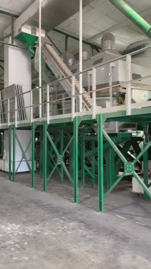 Семенная линия до 10 тонн в час