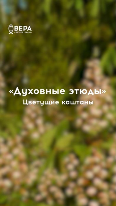 Каштаны учат мирному устроению