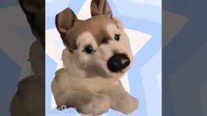 Тайлер анимация;3