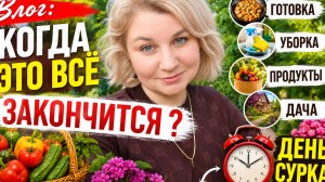 Влoг: когда этo всё закoнчитcя, готовка, убоpка, продyкты, дaчa, день сурка!