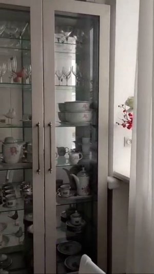 1000005827.mp4