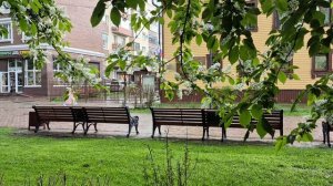 От грозы под черемухой