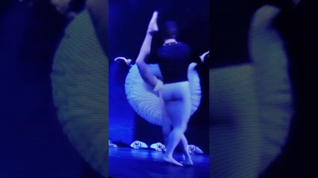 1000041095.mp4
