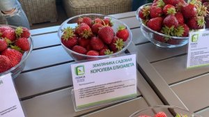 Самая вкусная земляника!