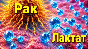 РАК-ОНКОЛОГИЯ, ЛАКТАТ, ЧТО ДЕЛАТЬ?