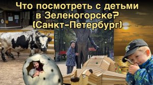 Спб - Зеленогорск с детьми, где погулять, что посмотреть? Зоопарк, столовая, атракционы, пляж.