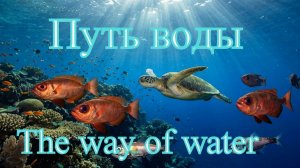Путь воды