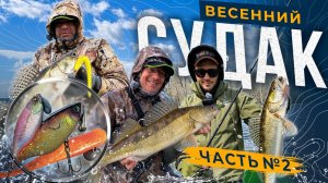 Jackall TN/80 TRIGON сделал рыбалку! Вторая часть рыбалки на весеннего судака