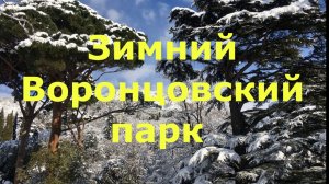 Зимний Воронцовский парк в Крыму
