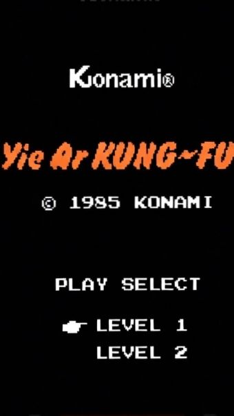 KUNG-FU 10 Уровень