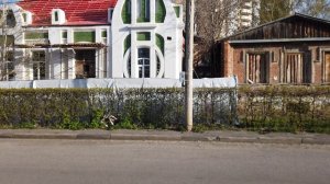 Тамбов33