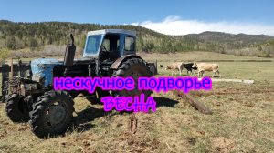 Хлопоты по хозяйству. Весна.