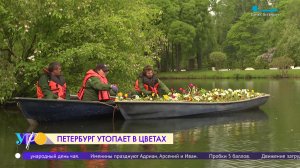 В парке Екатерингоф зацвела лодка