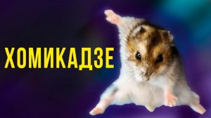 ХОМИКАДЗЕ))) Приколы