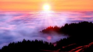 Beautiful Nature   DRONE   Free HD Videos - No Copyright footage
