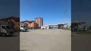 Утиная семья остановила движение в Уссурийске