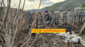 Сад - огород. Весна в деревне.