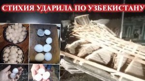 Стихия обрушилась на УЗБЕКИСТАН❗