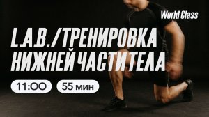 ТРЕНИРОВКА НИЖНЕЙ ЧАСТИ ТЕЛА с Еленой Дубас | 23 мая 2026 | Онлайн-тренировки World Class