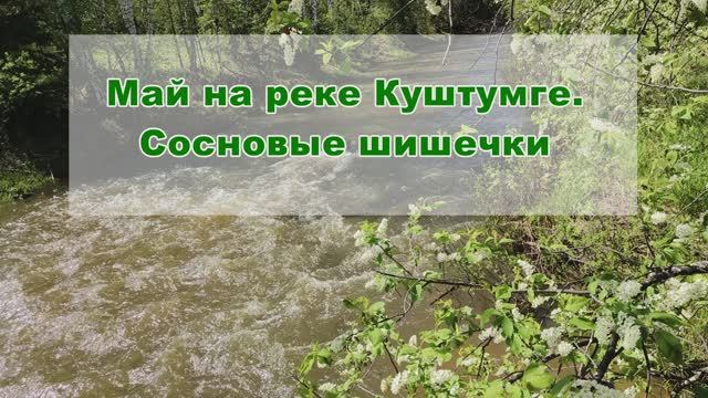Май. Куштумга. Шишечки для варенья и хорошее настроение смотреть онлайн