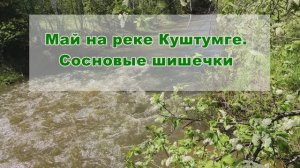 Май. Куштумга. Шишечки для варенья и хорошее настроение
