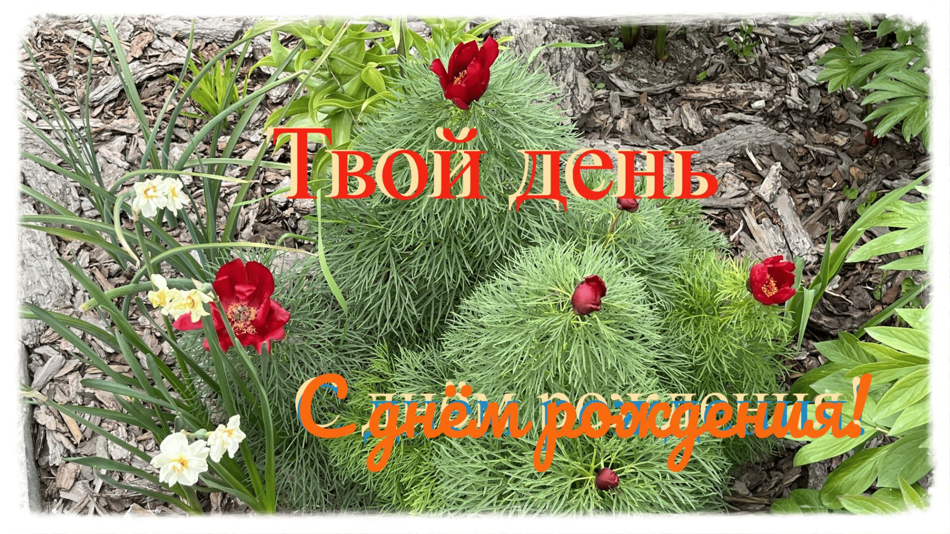 В день рождения