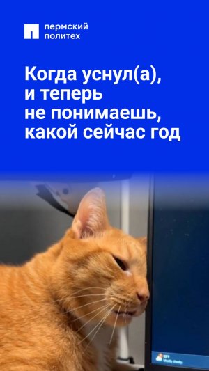 Когда уснул(а),  и теперь  не понимаешь, какой сейчас год