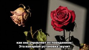 ЮНГ РАЗРУШИЛ МИФ — Одиночество после 50 НАЧАЛО великой ЛЮБВИ