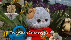 СНОВА ВЛОГ 🫶🏻
БАСИКИ НА ДАЧЕ|ОТДЫХАЕМ ВМЕСТЕ 🌳
басики#басята#басик#кот#
