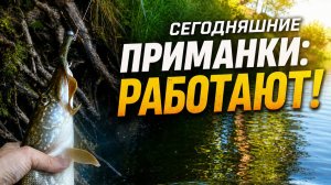 Рыбалка на спиннинг на малой реке.Какие приманки сегодня работали!Май 2026.