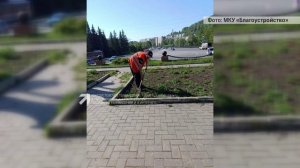 В Златоусте начался сезон летнего озеленения