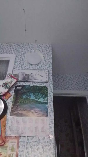 Дарья