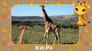 Дикие Животные и их Голоса   Учим слова на русском для детей