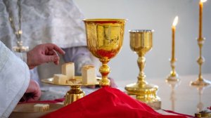 Поздняя Божественная Литургия. Вознесение Господне. Апостола и евангелиста Иоанна Богослова.