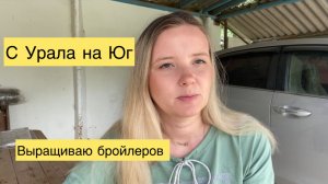 Переехали с Урала на ЮГ/ Выращиваю бройлеров без антибиотиков/ Жизнь после переезда на ЮГ