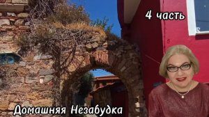 4 часть. Беженцы из КОСМОСА вышли на связь с с@плёй☝️❗️Ему надо 126 рублей доехать до них🙏🏻❗️