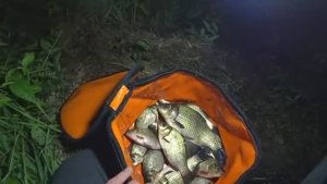 Ловля карася на светящийся поплавок. Рыбалка на маховую удочку ночью