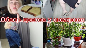 21-05-2026 Влог * WB OZON * Примерка * Цветы у свекрови * Рецепт курицы НЕЖНЯТИНА
