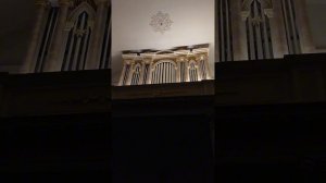 Органный концерт Галины Ельшаевой в лютеранской церкви Святой Екатерины, Санкт-Петербург