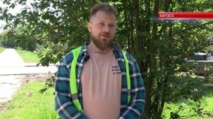 ТК «Родной». В Кировске идёт благоустройство второй части бульвара 40 лет Победы