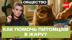 Почему нельзя стричь животных летом: Отвечает ветеринарный врач Михаил Шеляков. Кононова