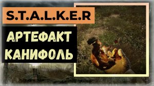S.T.A.L.K.E.R.2 Сердце Чернобыля Где найти артефакт Канифоль