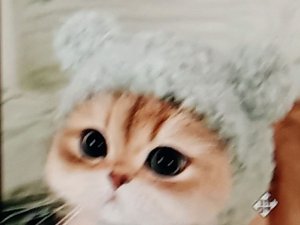 я показываю свой дом