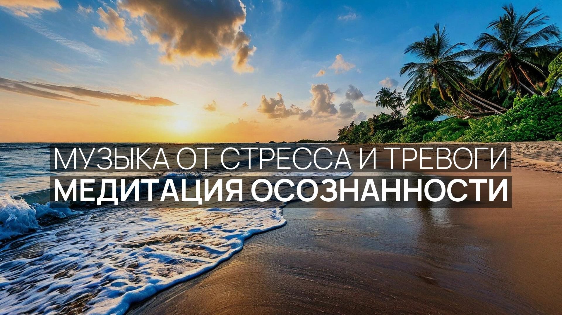 Медитация осознанности 🌿 Пение чаек ✨ Солнце над водой 🧘