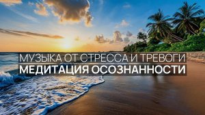 Медитация осознанности 🌿 Пение чаек ✨ Солнце над водой 🧘